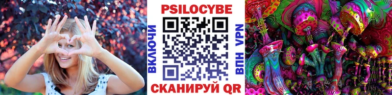 Купить закладки Протвино Галлюциногенные грибы Psilocybe